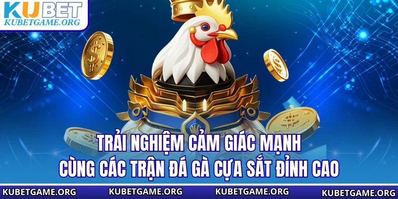 Đá Gà Cựa Sắt KUBET – Đỉnh Cao Cá Cược Kịch Tính Nhất 2026