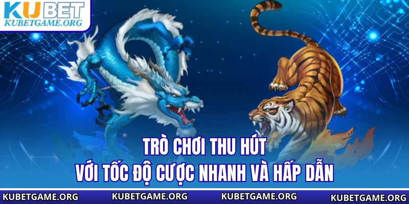 Rồng Hổ – Top 3 Kiểu Cược Được Áp Dụng Nhiều Nhất 2026